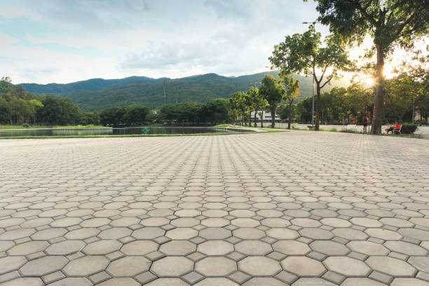 Best Affordable Driveway Pavers  in Smith Valley, NV